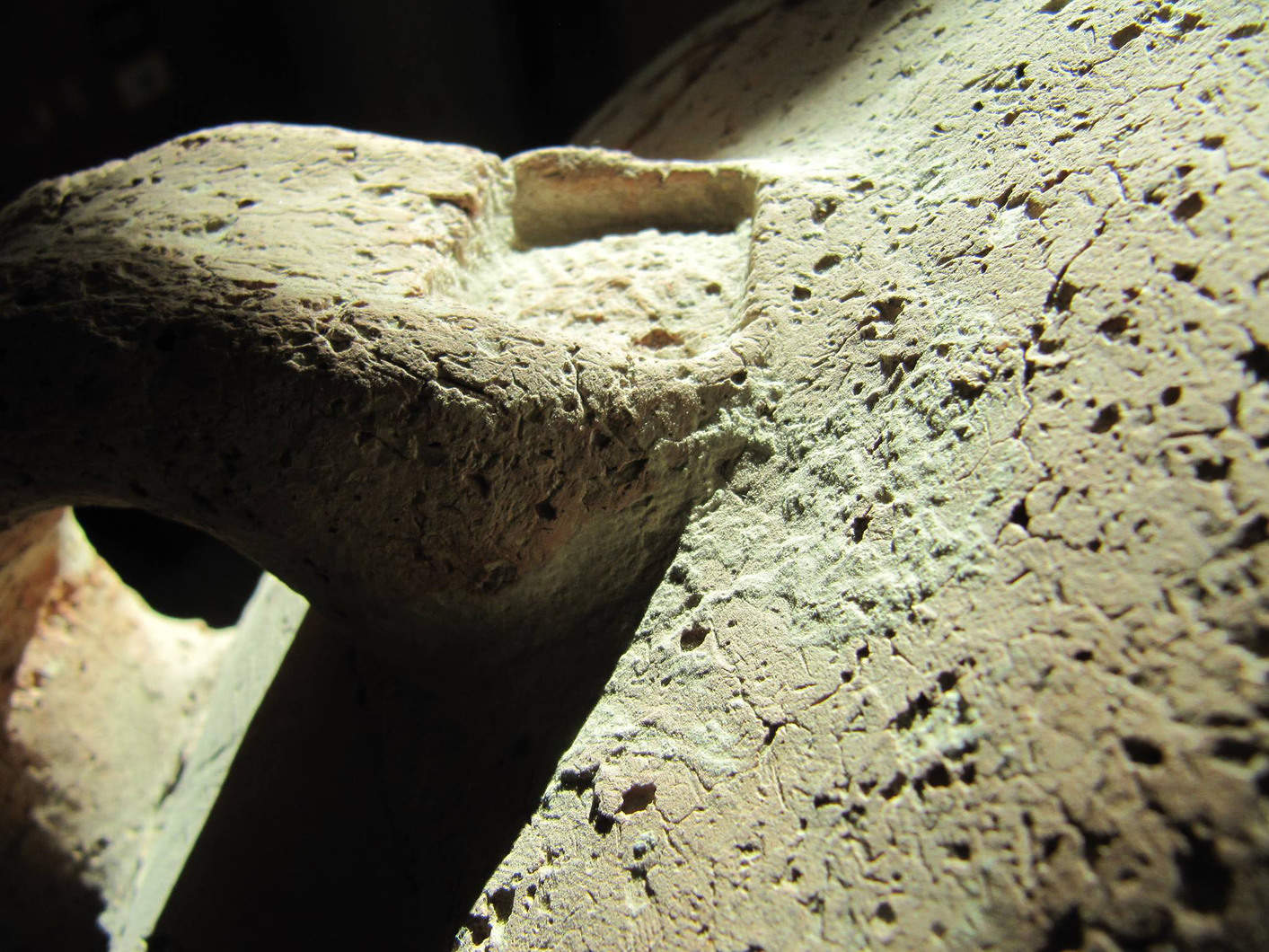 "Sunlight Texture" : a photograph by Firas Bqa'in