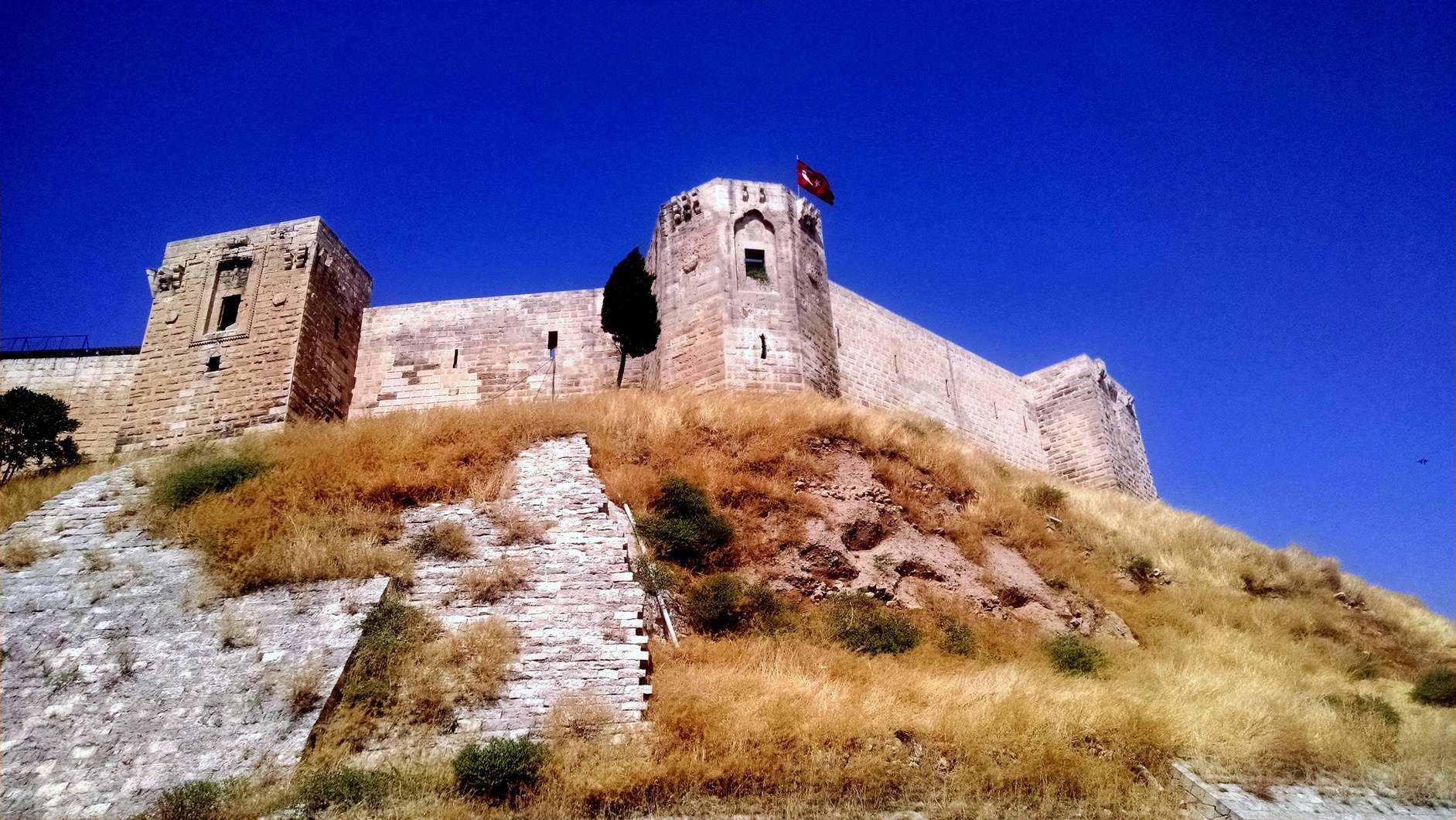 IMG_20150711_151652419