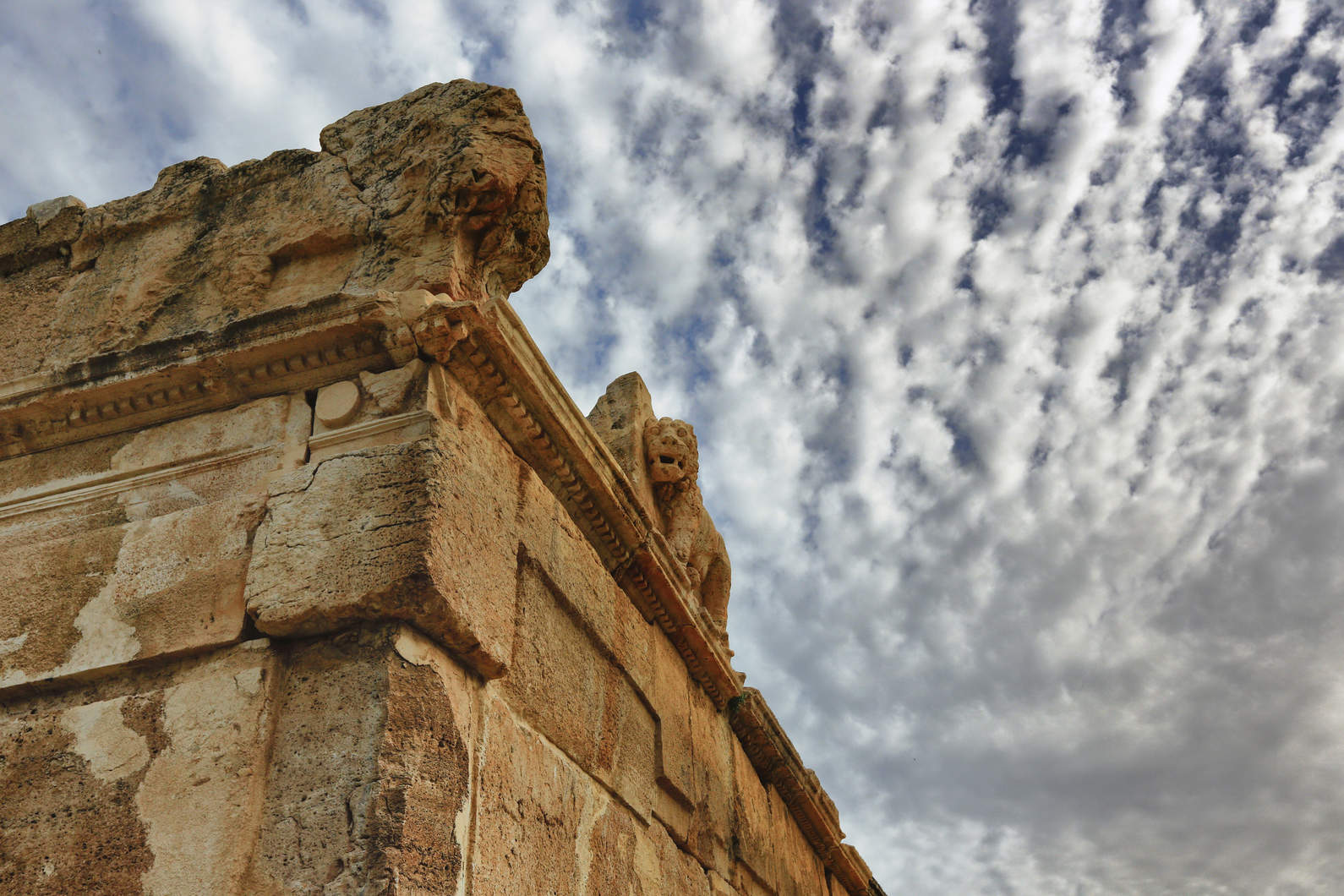 Blog Photo 9 IraqElAmir