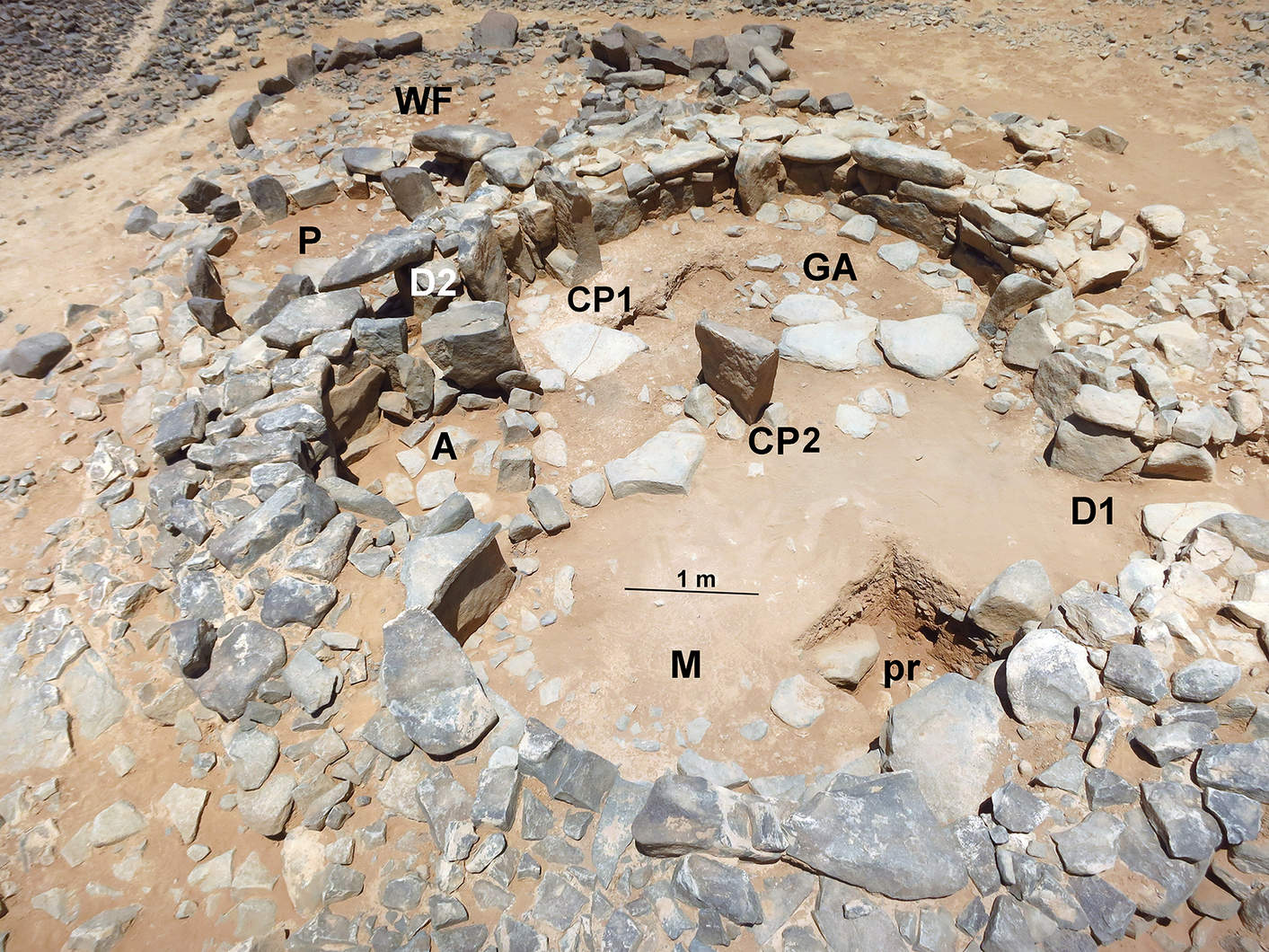 A mid-7th millennium BC Late Neolithic house at Wisad Pools at the eastern edge of the Black Desert in all its complexity. WF-west forecourt; P-”porch”; D2-small doorway; A-alcove; CP1 and CP2- central pillars; M-main room; GA-grinding area; D1-principal doorway; pr-subfloor probe. (Photo by Y. Rowan)